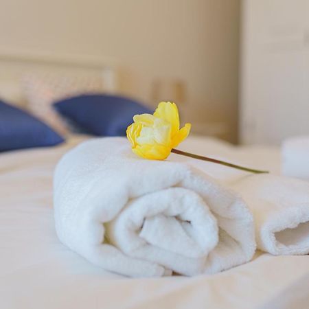 5* Mansion In City Center 클루지나포카 외부 사진